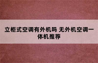 立柜式空调有外机吗 无外机空调一体机推荐